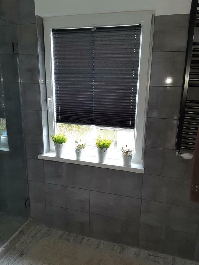 Апартаменты Haus Geiger Зеефельд в Тироле Экстерьер фото